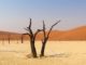 africa, namibia, landscape