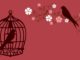 bird, bird cage, cage