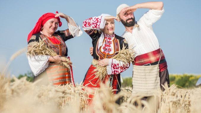 harvest, summer, nature