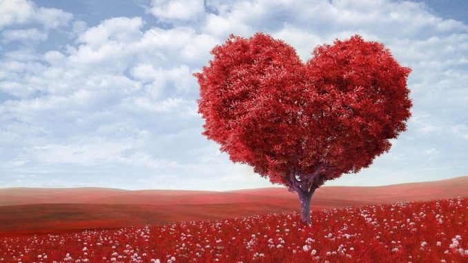 heart-shape, tree, red