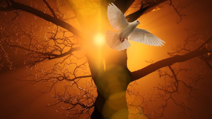 pentecost, holy spirit, christianity