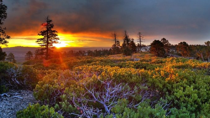 sunrise, scenic, landscape