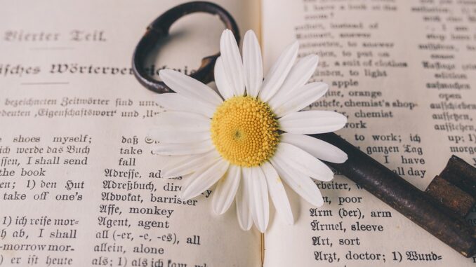 key, old, flower-5105878.jpg