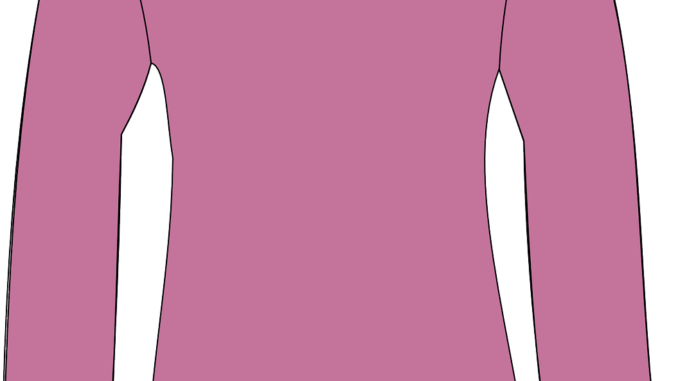 blouse, pink, clothing-154159.jpg