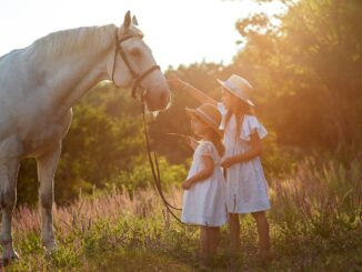sisters, horse, children-7103501.jpg