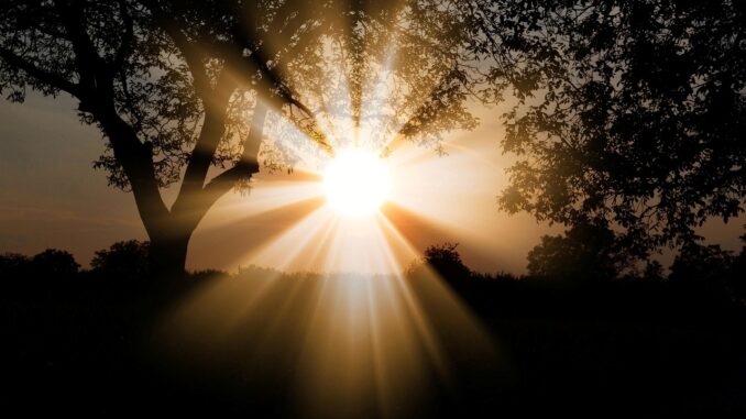 sunlight, nature, outdoors, sunbeam, landscape, trees, scenery, illuminated, sunlight, sunlight, sunlight, sunlight, sunlight, scenery