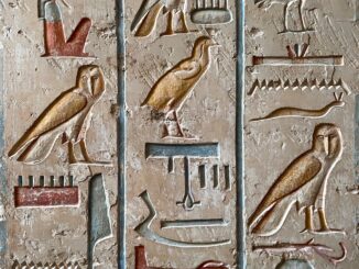 hieroglyph, wall, travel, bird, history, ancient, architecture, egypt, cairo, nature, sphinx, pyramids, giza