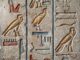 hieroglyph, wall, travel, bird, history, ancient, architecture, egypt, cairo, nature, sphinx, pyramids, giza
